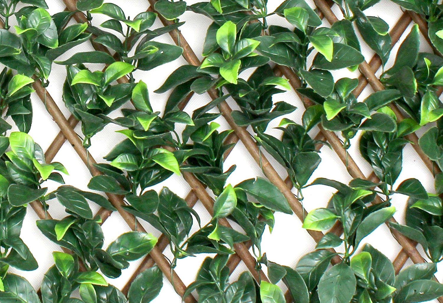 Celosías 100cmx200cm