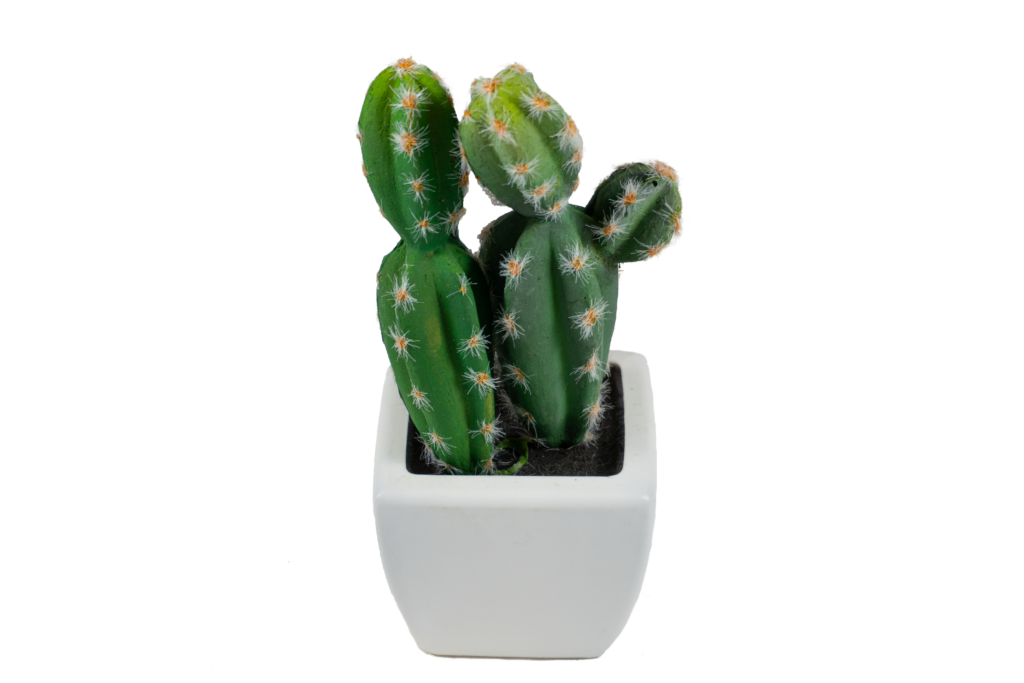Maceta con planta artificial cactus Naturalis pequeña