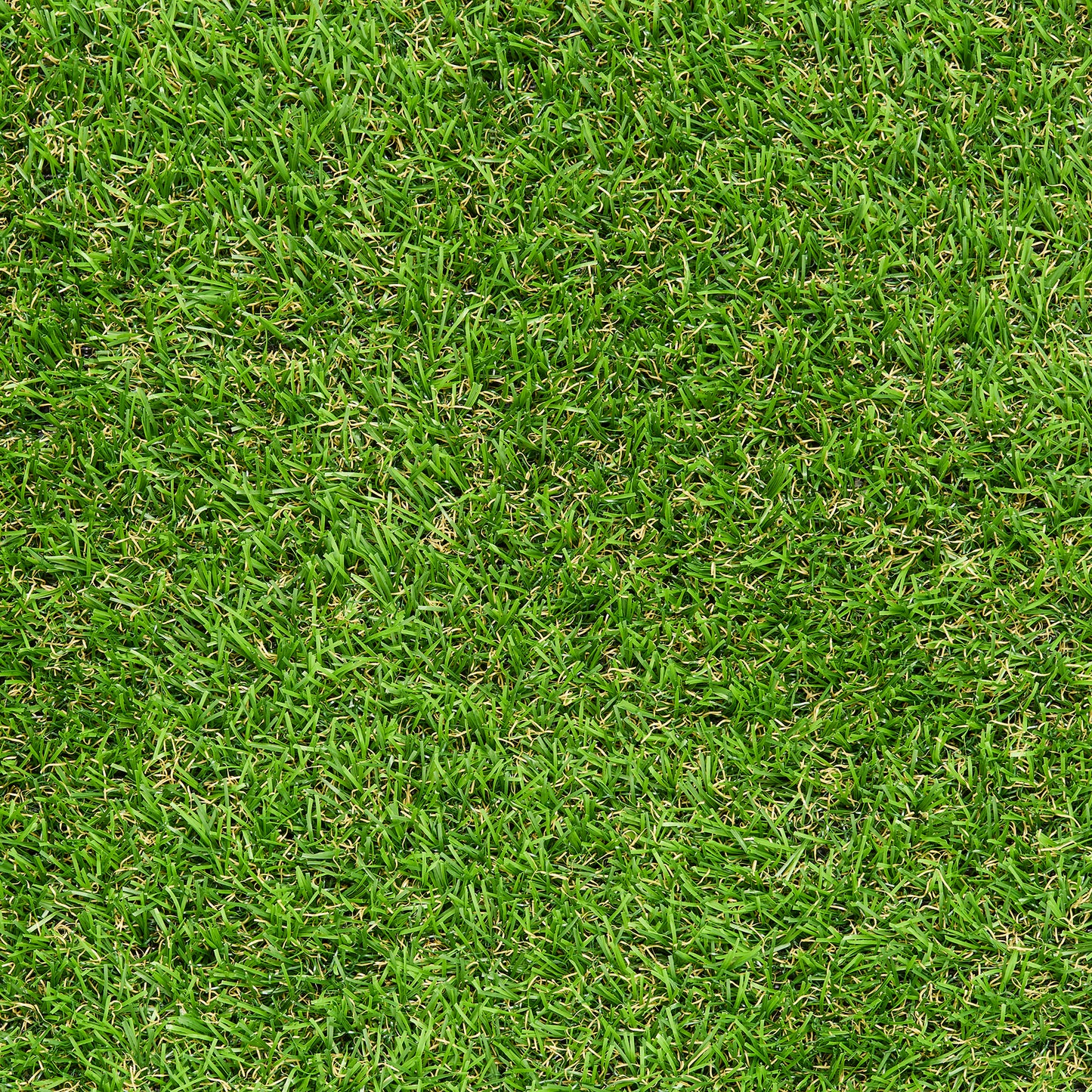 Césped artificial 20 mm barato y de alta calidad para terraza y jardín: COSTA
