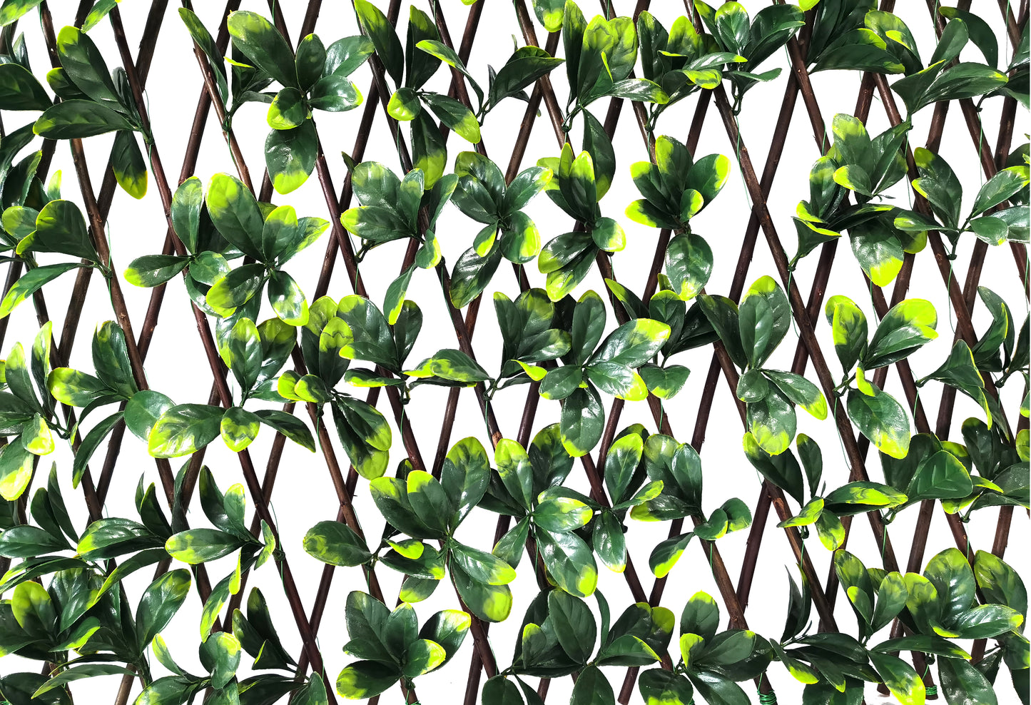 Celosía - VERDALIA 100x200cm