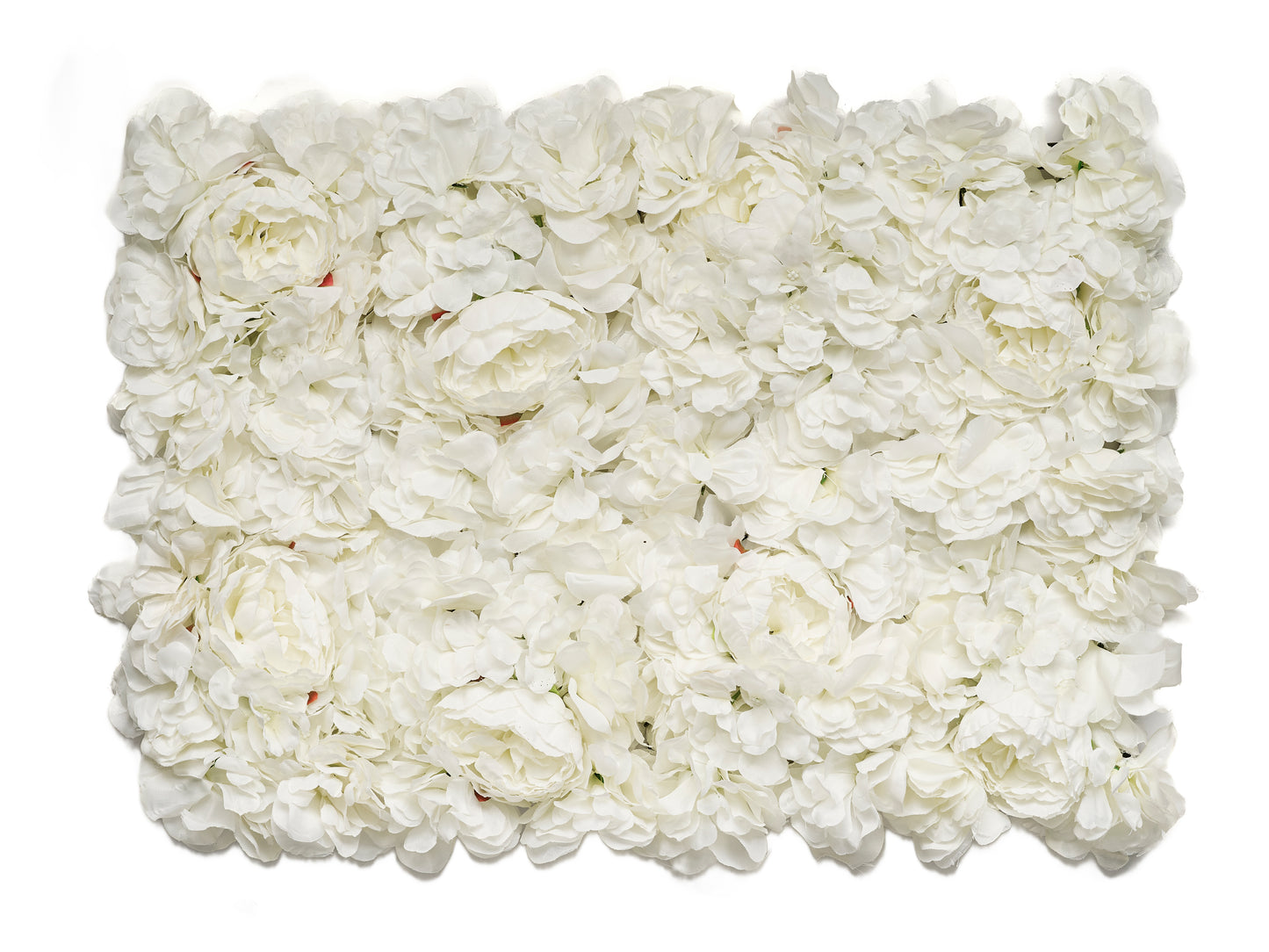 FLOR BLANCA 40X60 cm