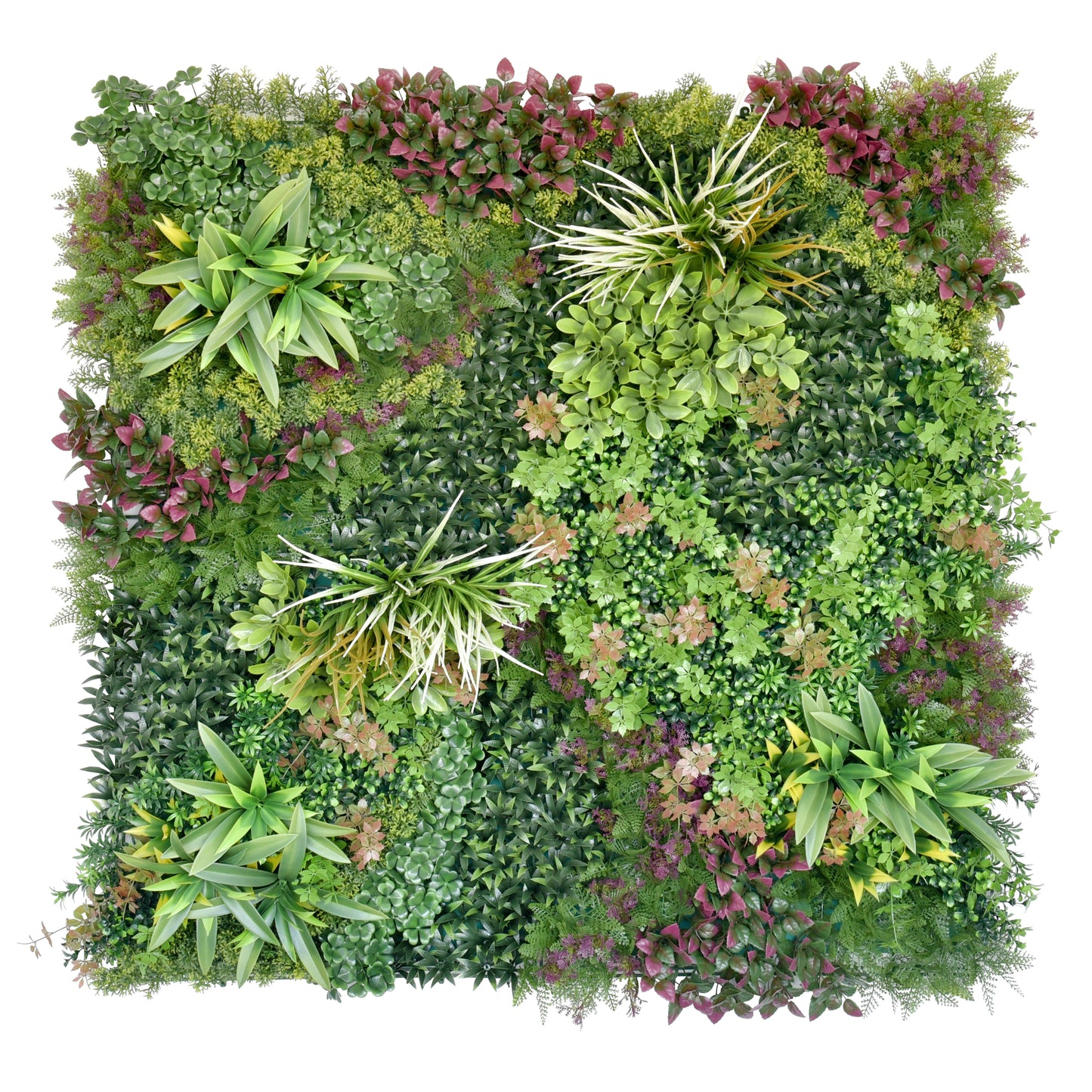 Jardín Vertical - GAUDÍ 100x100cm