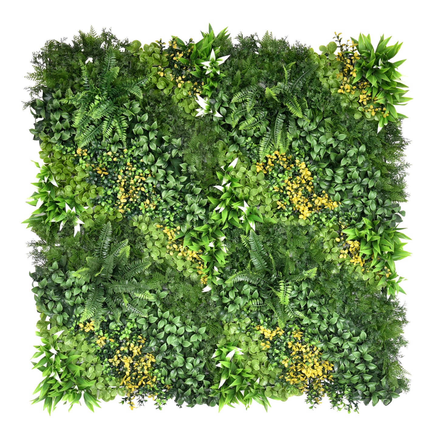 Jardín Vertical - COSTA 100x100cm