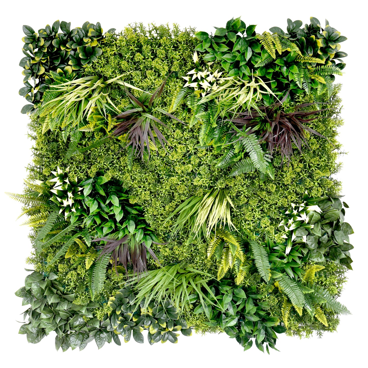 Jardín Vertical - ORO 100x100cm