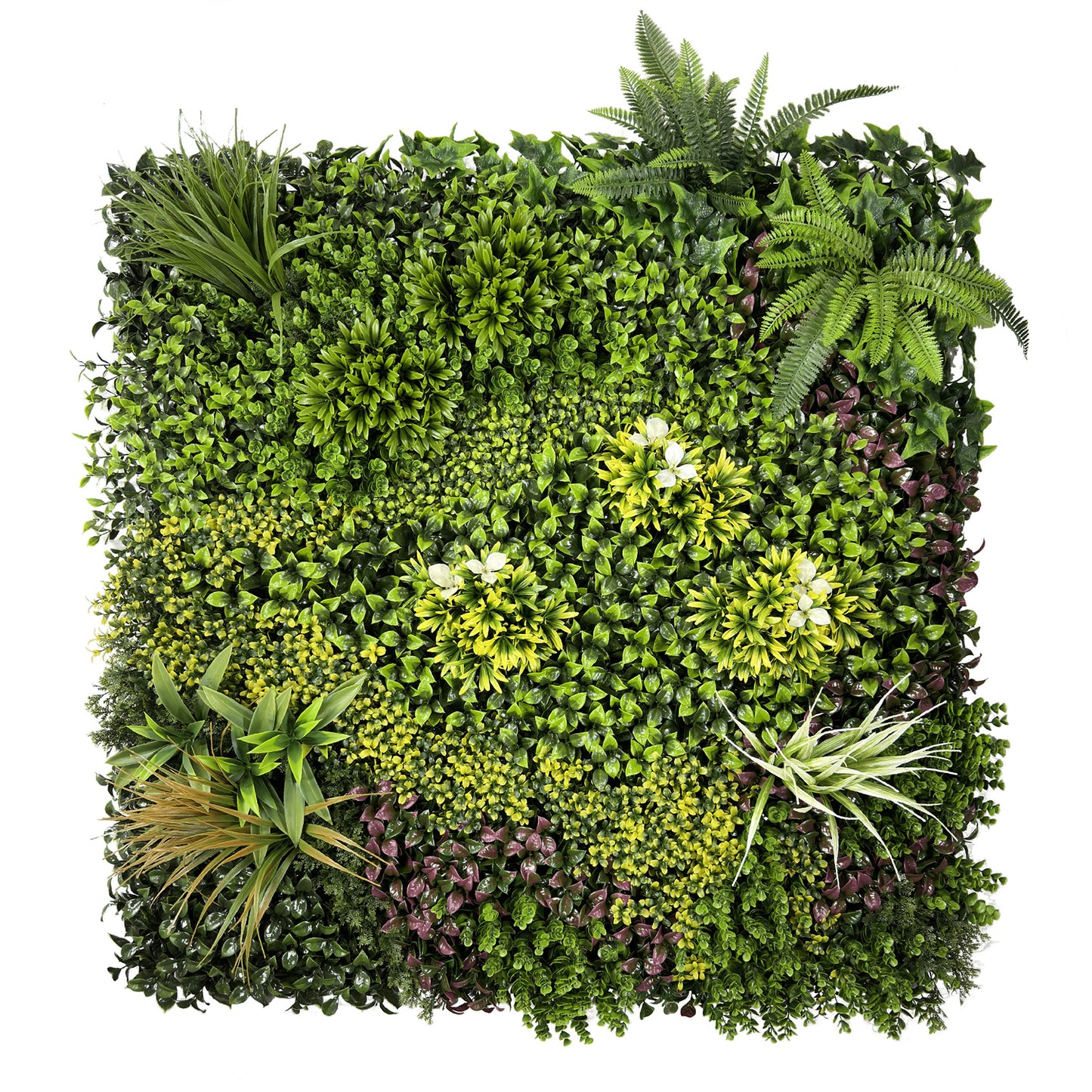 Jardín Vertical - ATLÁNTICO 100x100cm