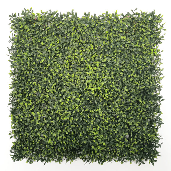 OLIVARES 50x50cm