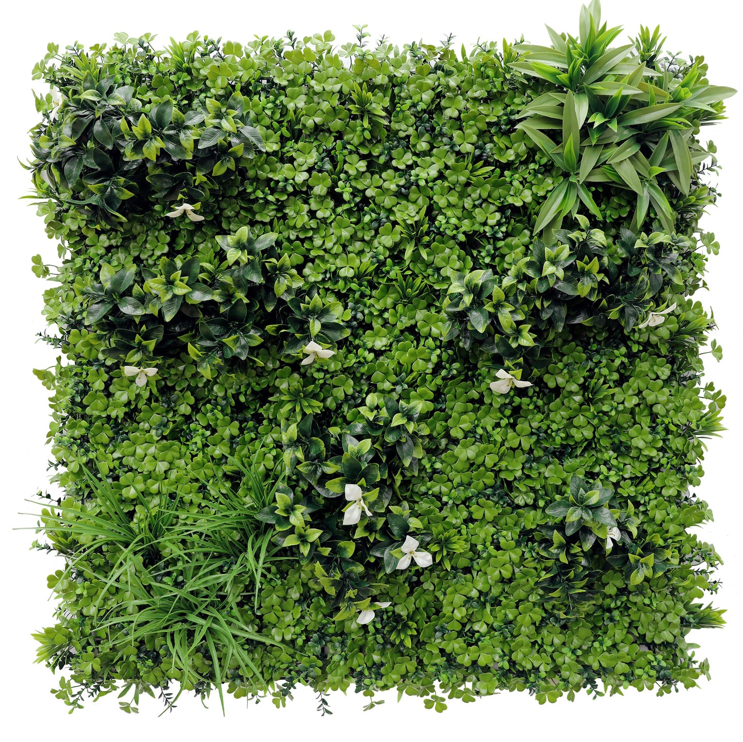 Jardín Vertical - CASTIZO 100x100cm