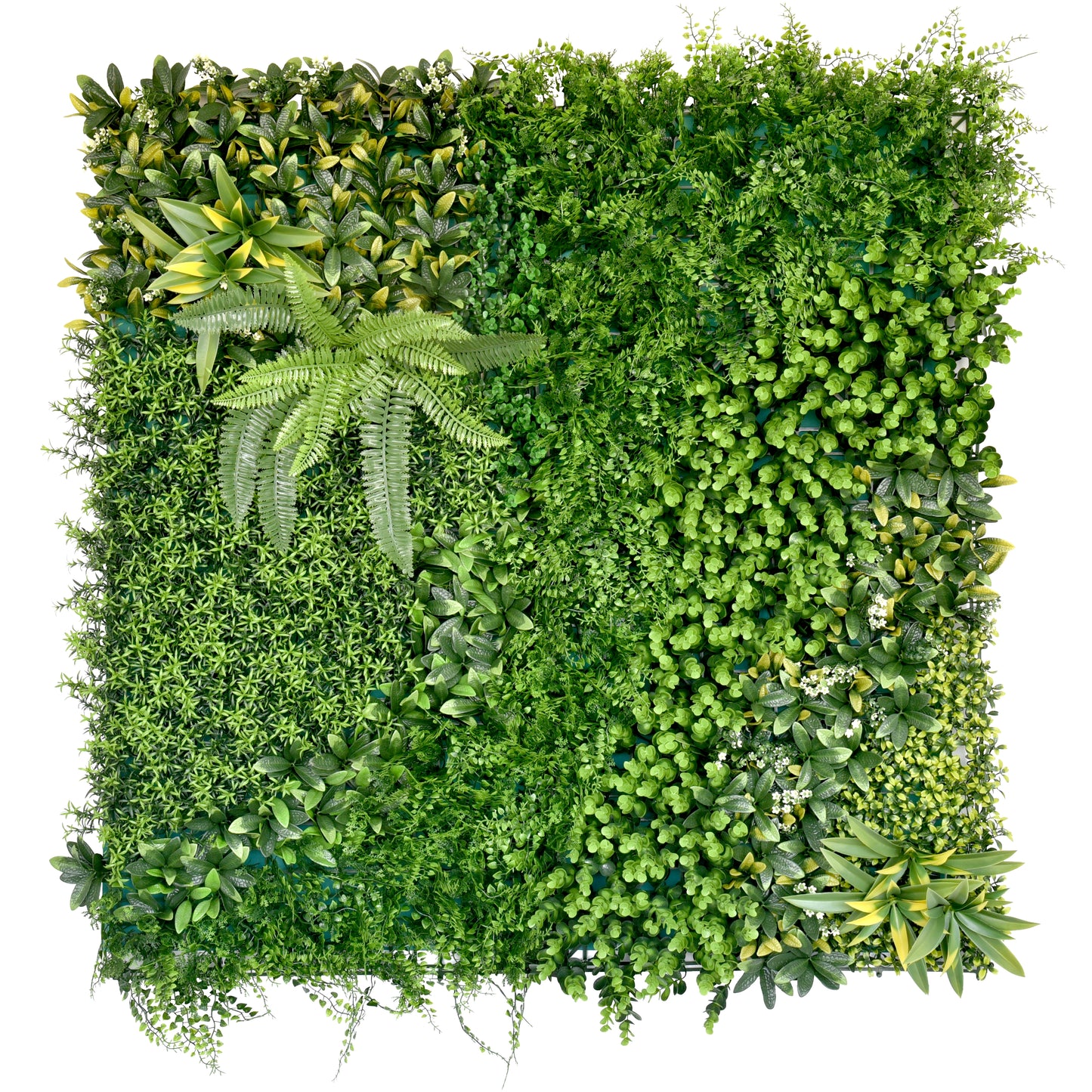 Jardín Vertical - HISTÓRICO 100x100cm