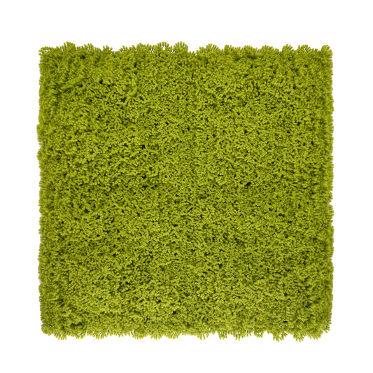 MUSGO DORADO  50x50cm