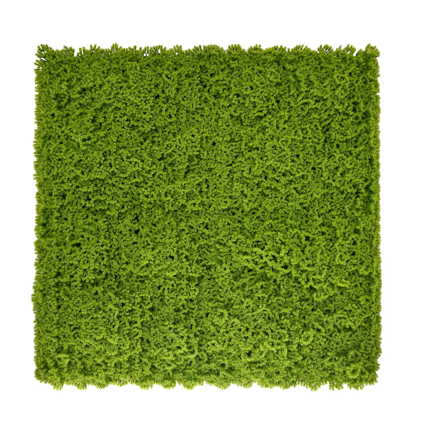 MUSGO VERDE 50x50cm
