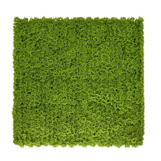 MUSGO VERDE  50x50cm