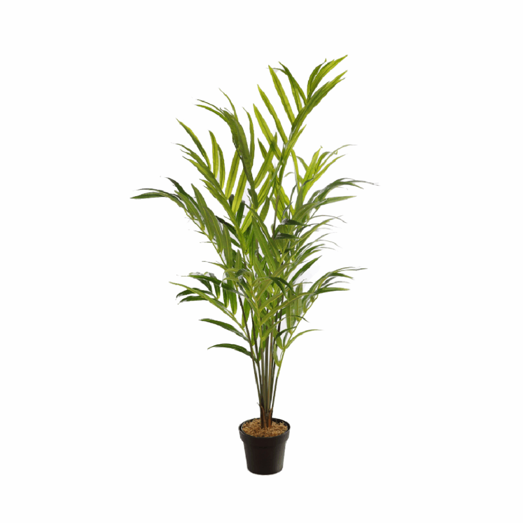 Palmera Kentia Artificial Deluxe 155cm