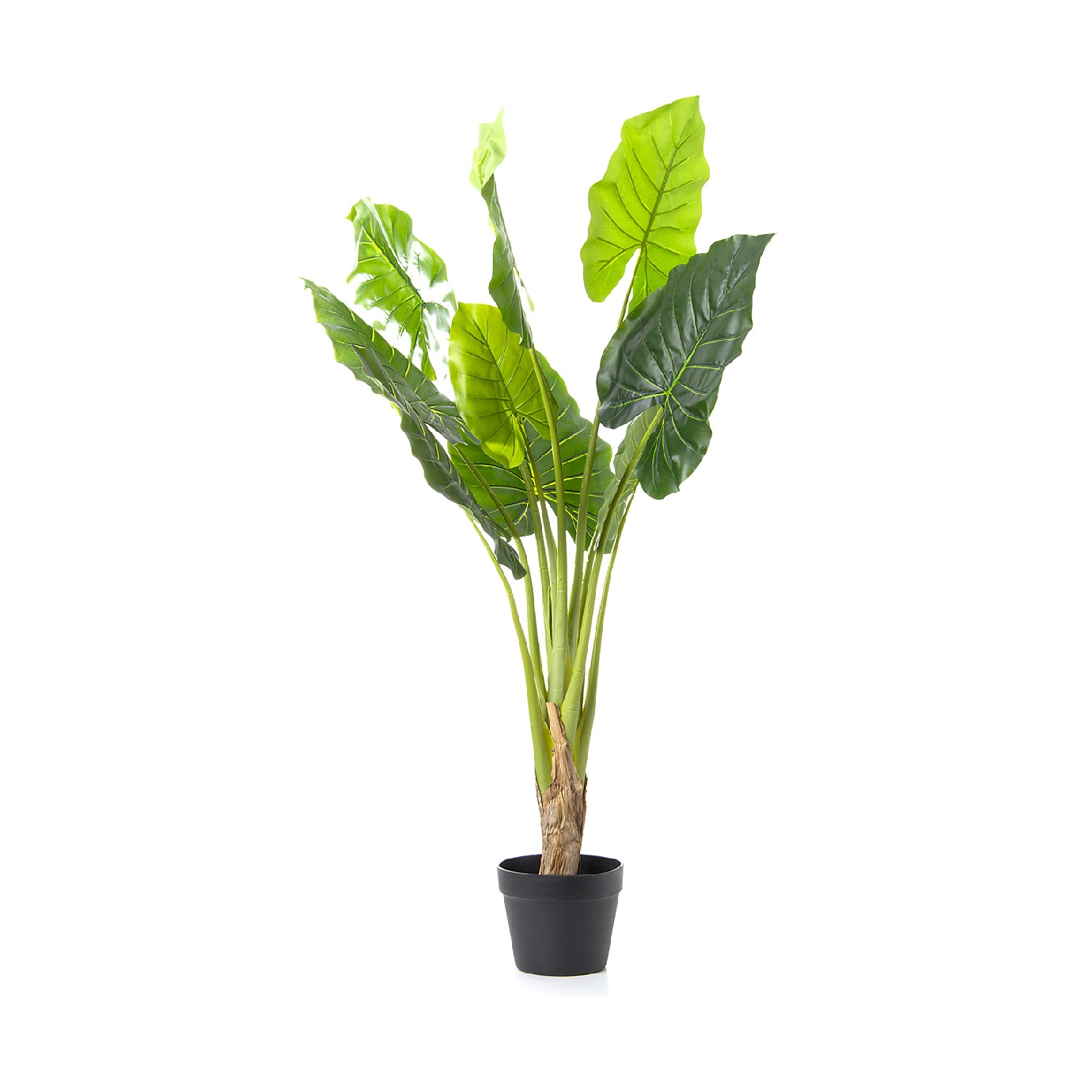 Alocasia Artificial 120CM (Modelo 2)