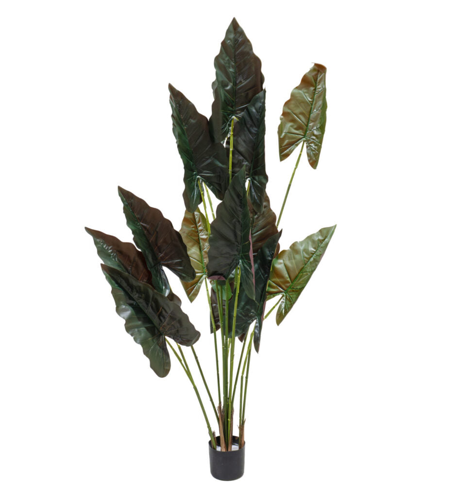 Alocasia Lila Artificial 120CM