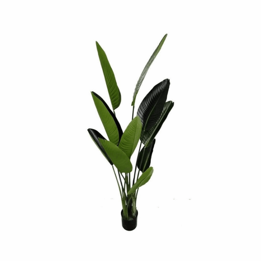 Alocasia Artificial 155cm