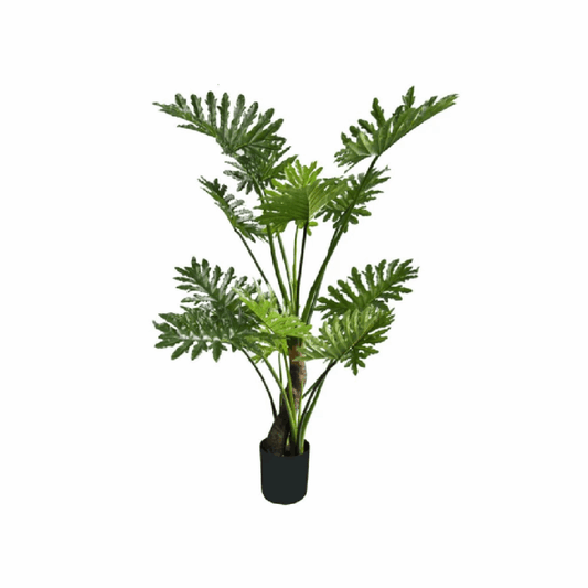 Filodendro 145CM