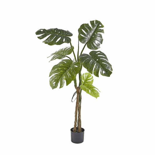 Monstera Tronco Natural 130CM