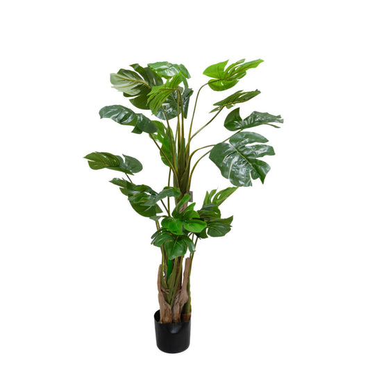 Filodendro Tronco Natural 145CM